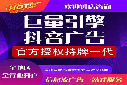 竞价广告的创意与执行：一则经典案例剖析
